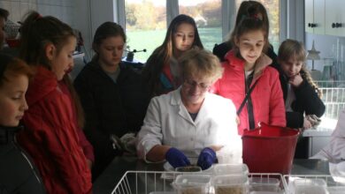 Wyjazd edukacyjny klasy VI Szkoły Podstawowej im. Wisławy Szymborskiej w Konikowie do Pomorsko Mazurskiej Hodowli Ziemniaka w Strzekęcinie