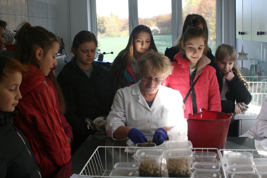 Wyjazd edukacyjny klasy VI Szkoły Podstawowej im. Wisławy Szymborskiej w Konikowie do Pomorsko Mazurskiej Hodowli Ziemniaka w Strzekęcinie Wyjazd edukacyjny klasy VI Szkoły Podstawowej im. Wisławy Szymborskiej w Konikowie do Pomorsko Mazurskiej Hodowli Ziemniaka w Strzekęcinie