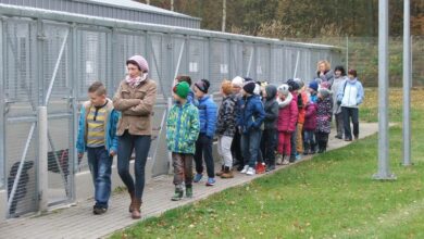Uczniowie Szkoły Podstawowej w Konikowie pomagają bezdomnym zwierzętom