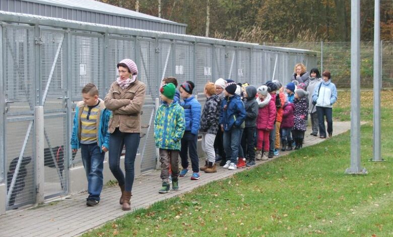 Uczniowie Szkoły Podstawowej w Konikowie pomagają bezdomnym zwierzętom