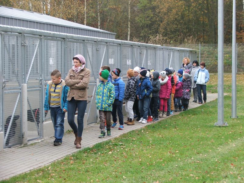 Uczniowie Szkoły Podstawowej w Konikowie pomagają bezdomnym zwierzętom
