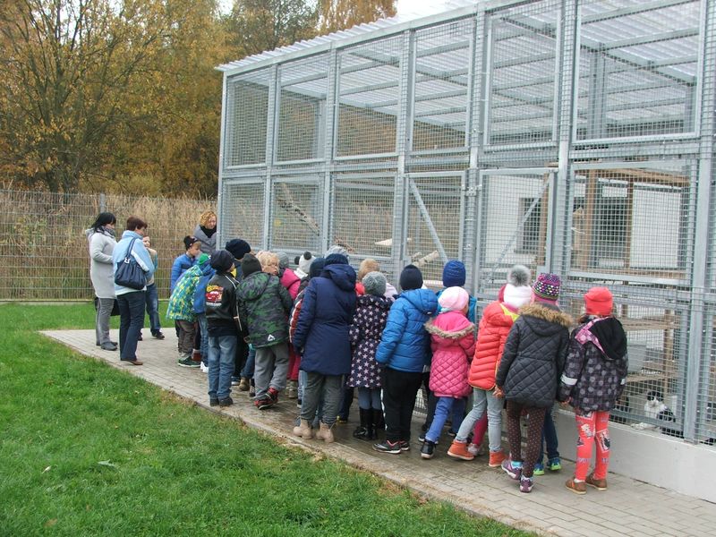 Uczniowie Szkoły Podstawowej w Konikowie pomagają  bezdomnym zwierzętom
