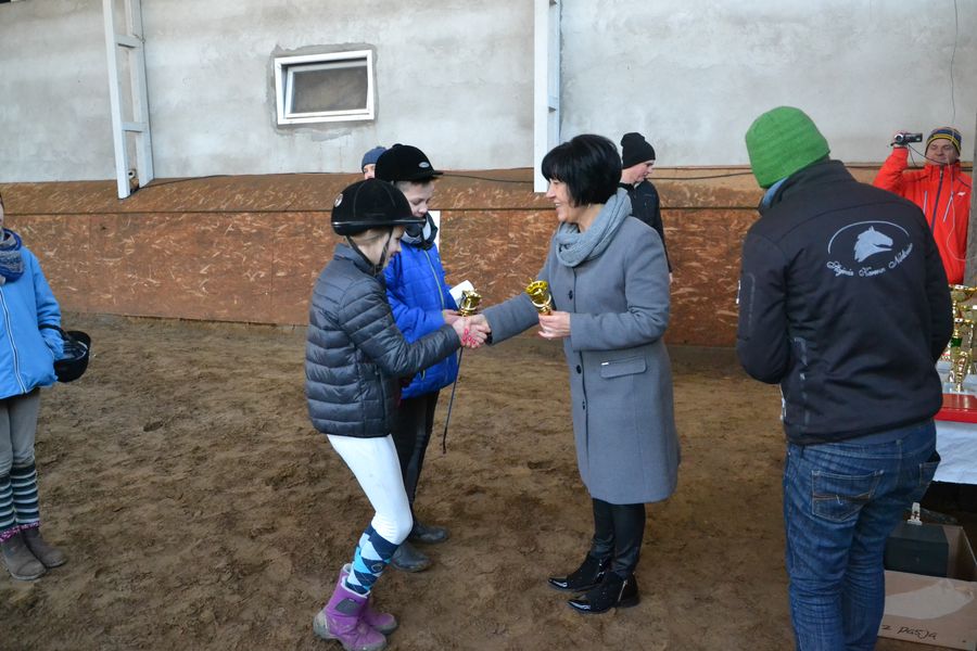 Halowe Towarzyskie Zawody w Skokach przez Przeszkody Halowe Towarzyskie Zawody w Skokach przez Przeszkody