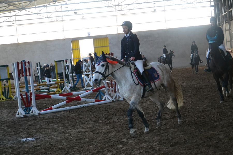 Halowe Towarzyskie Zawody w Skokach przez Przeszkody Halowe Towarzyskie Zawody w Skokach przez Przeszkody