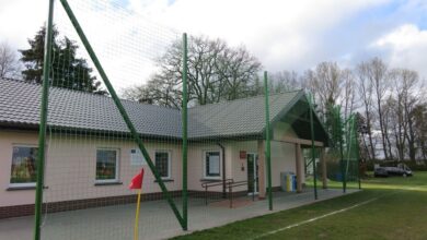 Piłkochwyty