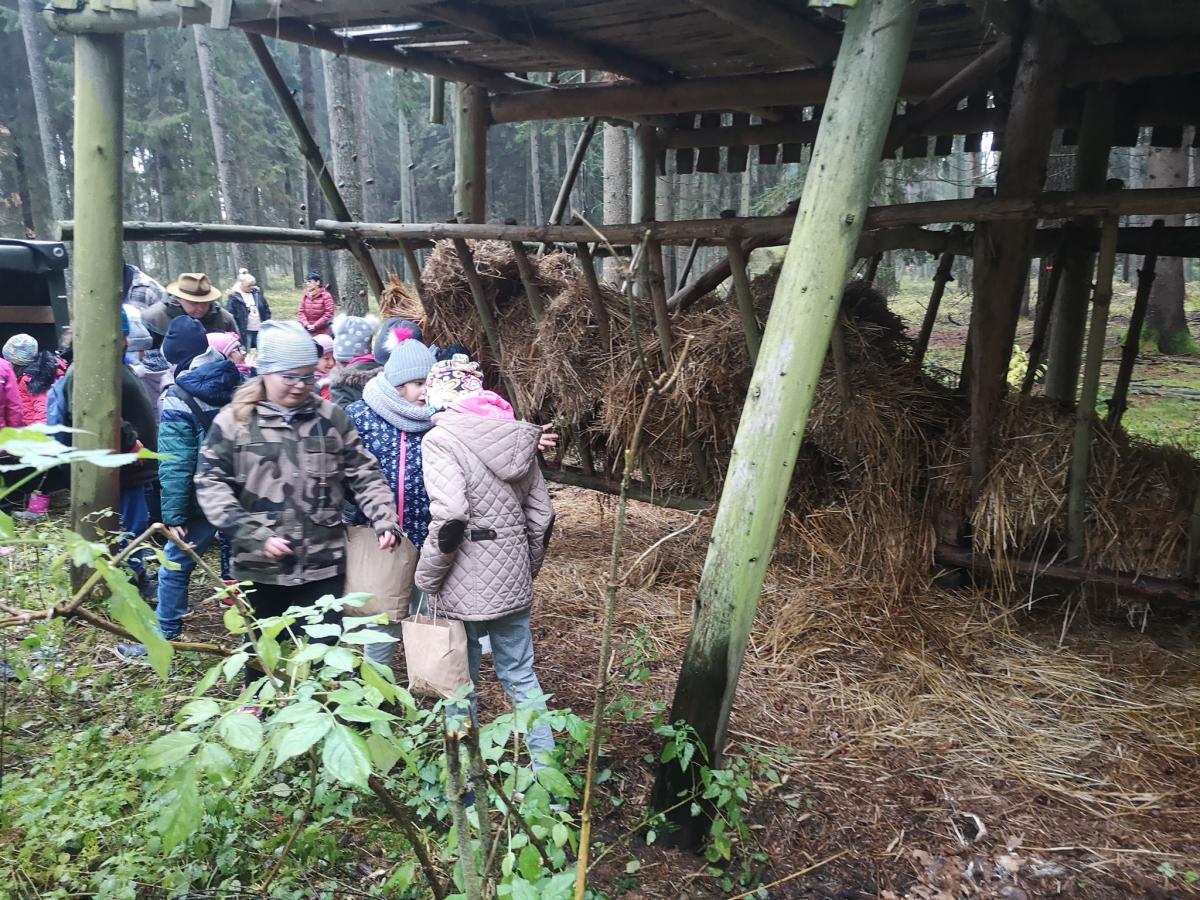 Uczniowie pomagaja leśnym zwirzętom